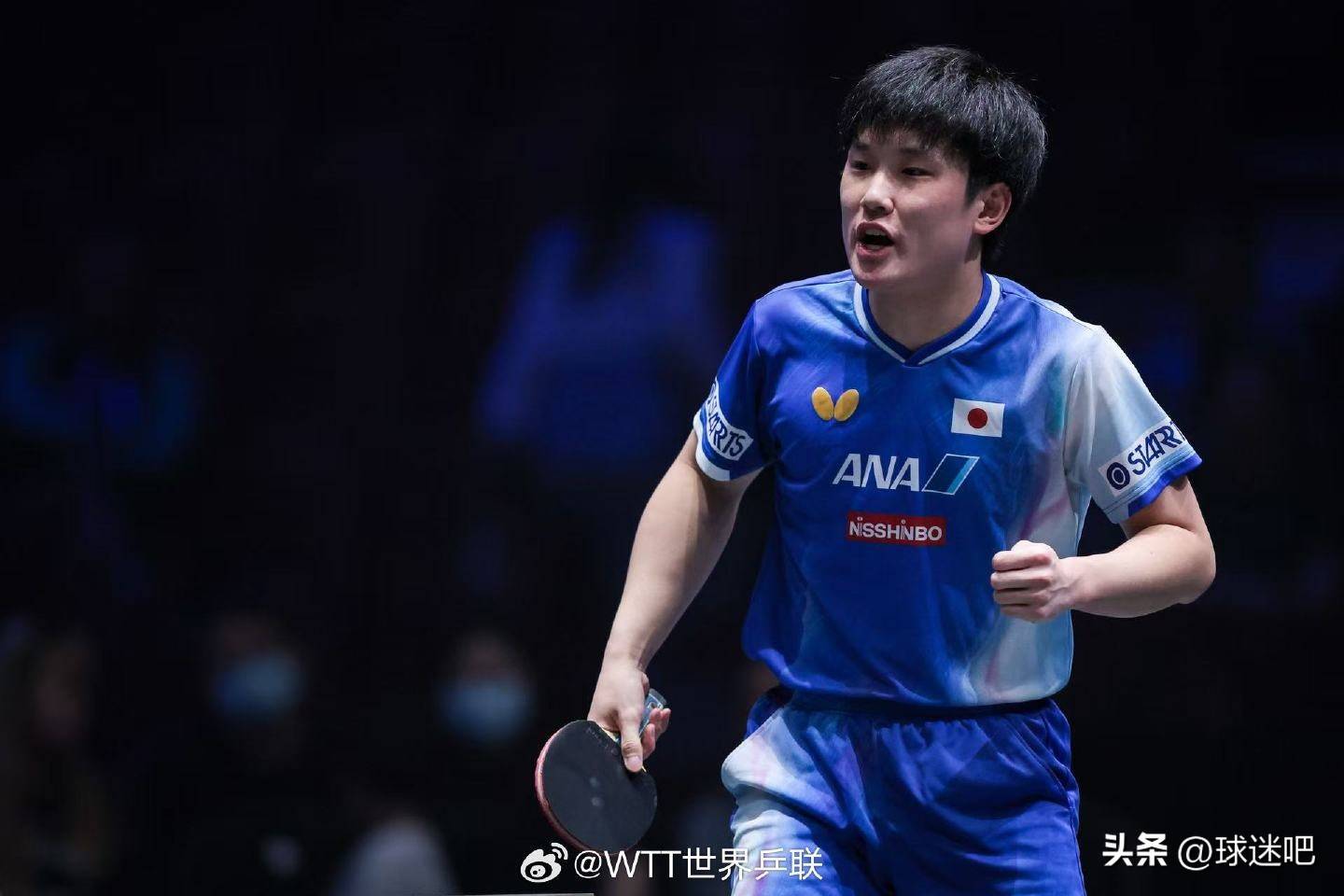 奥地利队险胜法国队，张本智和高光表现